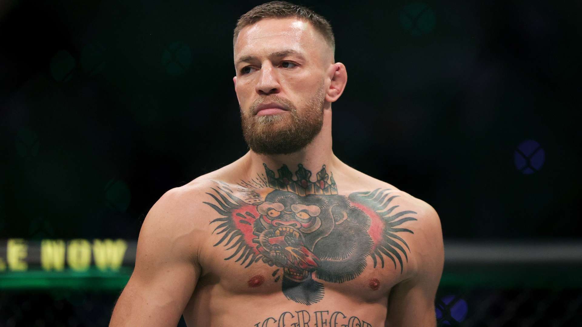 定了基础 定了基础